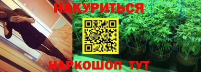 кокс Владимир