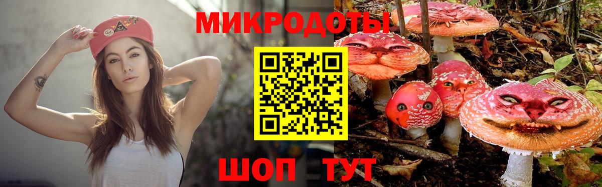как найти   Вход с VPN  Рязань  Галлюциногенные грибы Magic Shrooms 